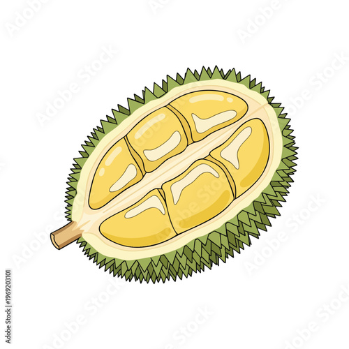 Halved spiky green fruit with creamy yellow flesh segments on white
