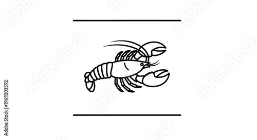 Artistic monochrome line illustration of a robust marine lobster showcasing its distinct claws and