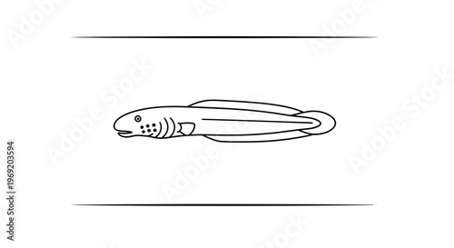 Minimalist black outline drawing of an aquatic bottom-dwelling creature on a pristine white