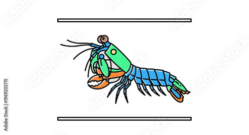 Vibrant cartoon mantis shrimp illustration with striking blue, green, and orange hues in a clean