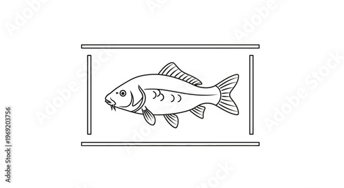 Minimalist black and white line art illustration of a freshwater carp swimming gracefully within a