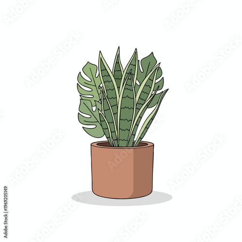 Simple cartoon illustration of snake plant & monstera in a terracotta pot