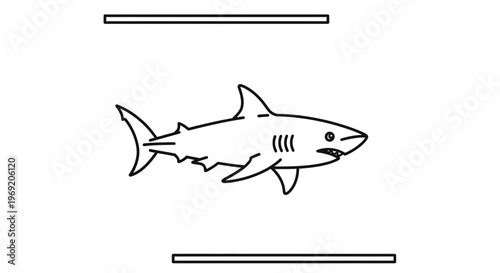 Minimalist black and white line art illustration of a powerful ocean shark swimming calmly