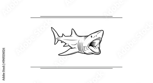 Striking black and white line art illustration of a powerful marine predator with formidable open