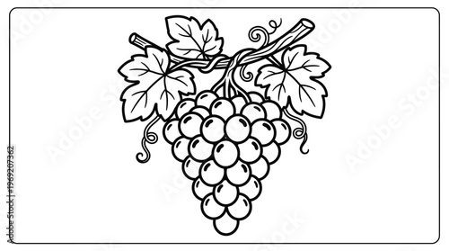 Bunch of grapes with leaves.