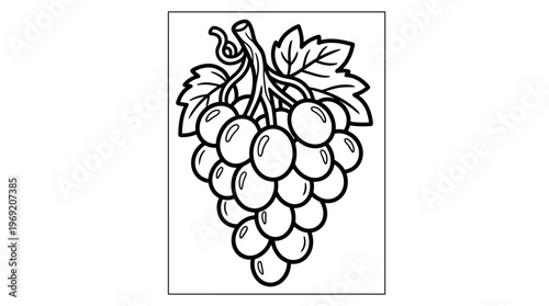 Bunch of Grapes with Leaves Illustration.