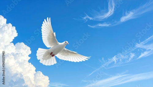 A White Dove Soars Gracefully Against a Vibrant Blue Sky with Wispy Clouds.