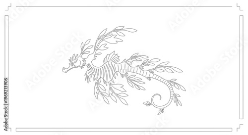 Graceful line art featuring an exquisite leafy sea dragon, a symbol of underwater wonder and fantasy