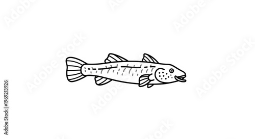 Minimalist black outline drawing of a freshwater fish swimming left on a white background