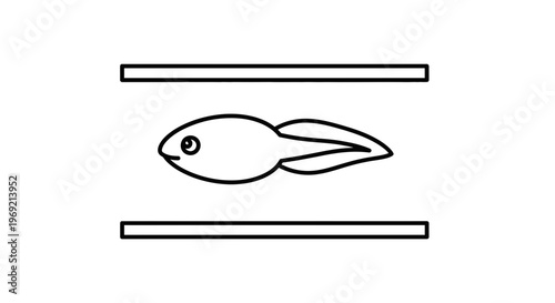 Minimalist outline illustration of a cute tadpole swimming between two horizontal lines