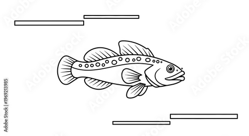 Detailed black and white line art illustration of a freshwater fish swimming in minimalist design