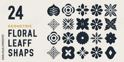 Geometric floral leaf shapes and number twenty four displayed visually