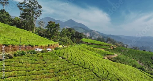 Wallpaper Mural Cinematic aerial view of scenic tea plantation, terraced hill valley in Munnar, Kerala, India. Aerial view of a tea plantation in Munnar. The beautiful Western Ghats mountain range in Kerala Torontodigital.ca