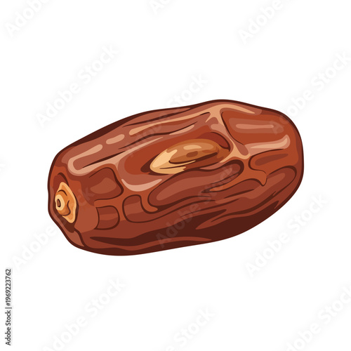 Close-up of a single dried date fruit with a visible pit and textured skin