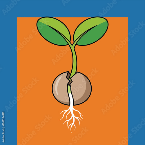 Green plant sprout with roots growing.