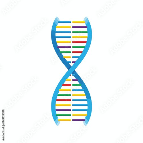 Stylized, colorful double helix structure against a white background
