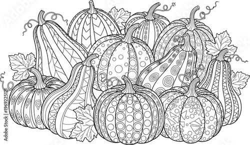 Vibrant assortment of intricately designed pumpkins in a rustic illustration style