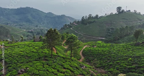 Wallpaper Mural Cinematic backward fly aerial shot of Tea Plantation hill valley in Munnar, Kerala, India. Aerial view of a tea plantation in Munnar. The beautiful Western Ghats mountain range in Kerala Torontodigital.ca