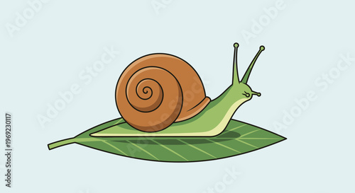 A snail with a brown shell and green body sits on a leaf eating.