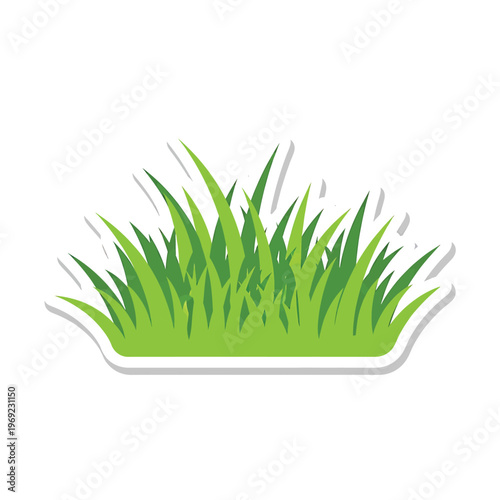 Green grass blades growing together.