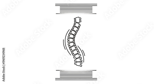 Dynamic human spine illustration depicting flexibility and potential spinal health issues
