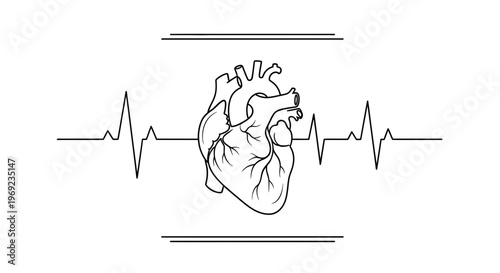 Detailed human anatomical heart illustration with vibrant ECG heartbeat rhythm line for medical