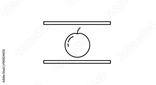 Minimalist line art icon of a fruit delicately balanced between two clean parallel lines on white