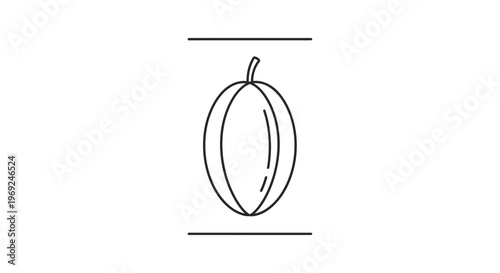 Minimalist Line Art Drawing of a Segmented Melon Fruit with Stem and Guide Lines