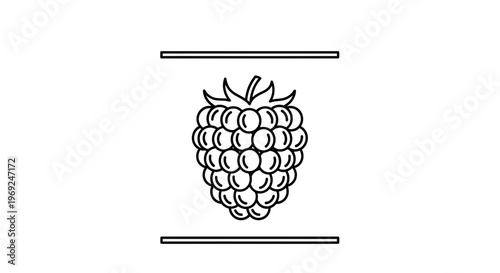 Minimalist Line Art Drawing of a Raspberry Fruit Icon for Modern Digital Design and Web Elements