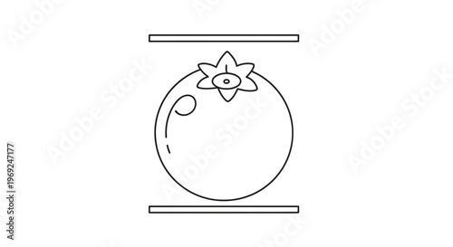 Minimalist line art illustration of a ripe fruit with calyx between two horizontal bars icon