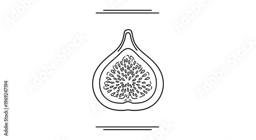 Minimalist monochrome line art illustration of a fig halved to showcase its delicate seed patterns