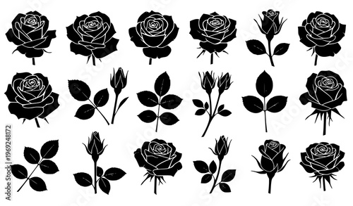 Rose flower silhouette set black floral blooms buds vector illustration