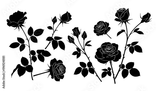 Rose flower silhouette set black floral blooms buds vector illustration