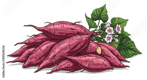 Large pile of fresh purple sweet potatoes or yams accompanied by green leaves and delicate light purple blossoms on white background.