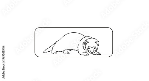 Line Art Ferret Illustration - Cute Weasel Animal Sketch
