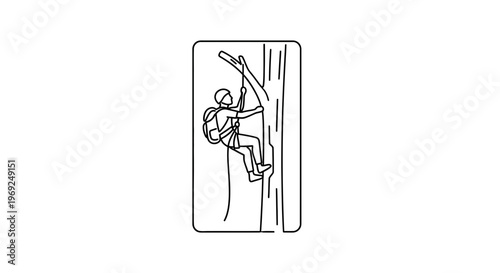 Man climbing tree with rope and harness, outdoor adventure, nature activity