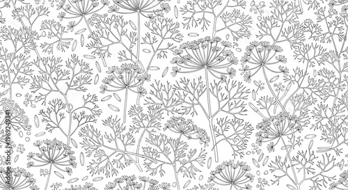 Seamless black and white pattern featuring detailed sketches of dill or fennel plants with feathery leaves and delicate umbrella flowers.