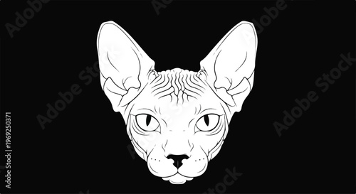 Sphynx cat negative space vector illustration, single Sphynx cat head using negative space, dark premium background, minimalist geometric design, luxury vector illustration, high contrast