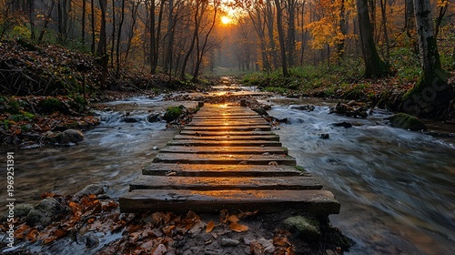 Sunlit wooden footbridge over autumn stream.