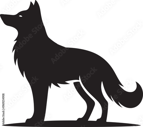 Silhouette of a wolf standing on all fours in a natural pose Vector, illustration