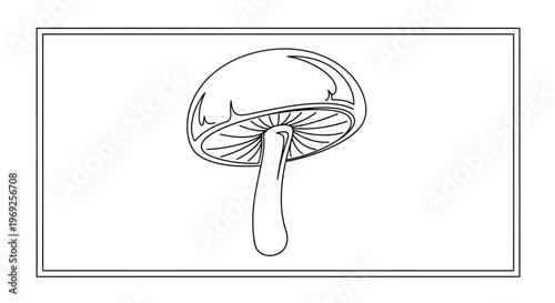 Mushroom Outline Drawing, Simple Line Art Illustration of a Fungi