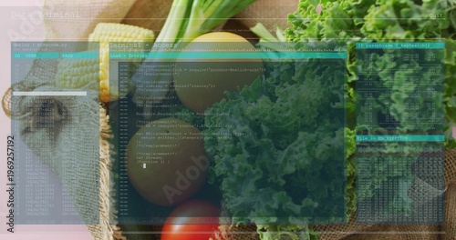 Displaying fresh produce resting on rustic kitchen counter, with kale, tomato, eggs and terminal UI