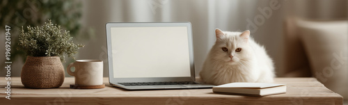 Working Cat: A fluffy cat s...