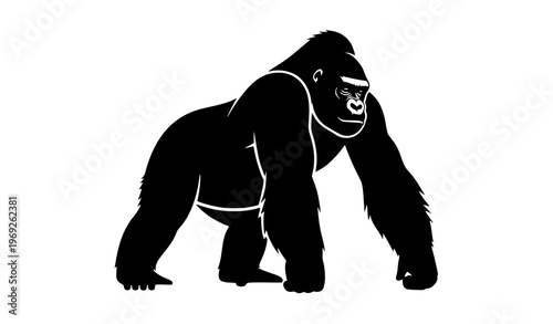 Powerful gorilla knuckle walking silhouette vector illustration isolated on white background wildlife design