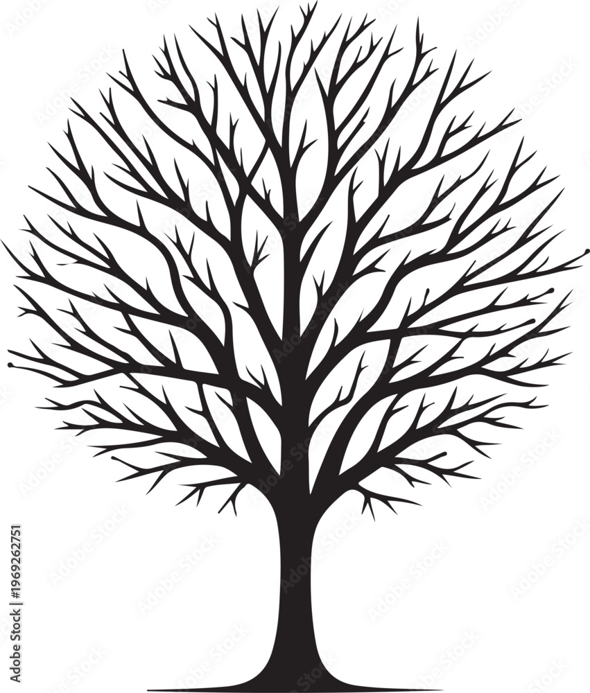 Obraz premium A striking black and white illustration of a bare deciduous tree with intricate branches. Vector, illustration