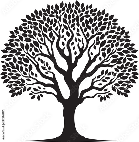 Majestic black and white illustration of an ancient tree with sprawling branches and leaves Vector, illustration
