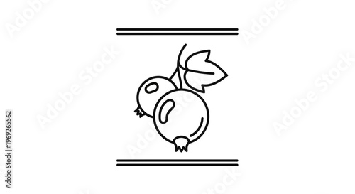 Minimalist black outline drawing of two fresh berries with a small leaf on a branch element