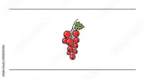 Vibrant red currant berries illustration, fresh organic fruit design for health and nutrition