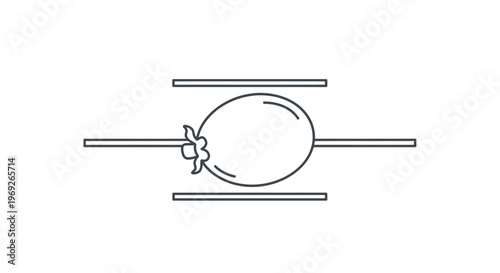 Minimalist outline icon depicting a whole chicken roasting on a rotisserie spit over heat