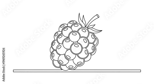 Simple line art illustration of a fresh berry fruit ideal for coloring book pages or minimalist